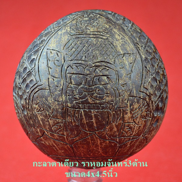 กะลาตาเดียว ราหูอมจันทร์ ขนาด4.5x4.5นิ้ว