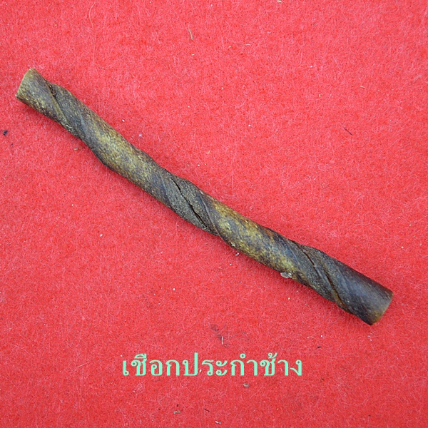 เชือกปะกำช้าง