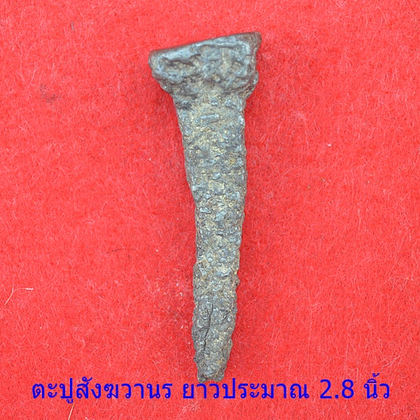 ตะปูสังฆวานร