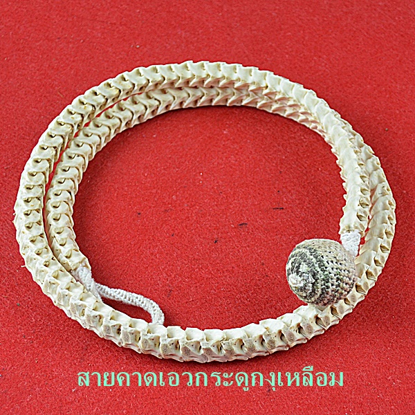 สายคาดเอวกระดูกงุเหลือม